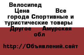 Велосипед Viva Castle › Цена ­ 14 000 - Все города Спортивные и туристические товары » Другое   . Амурская обл.